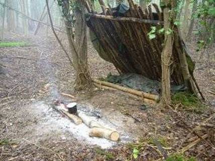 survival courses tasmania - natural lean to shelter