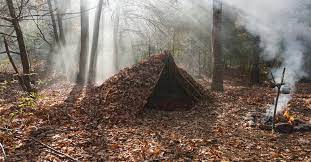 best survival shelter - debris shelter in woodlands