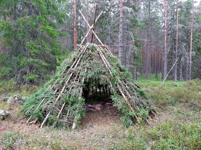 best survival shelter - wickiup using fir boughs